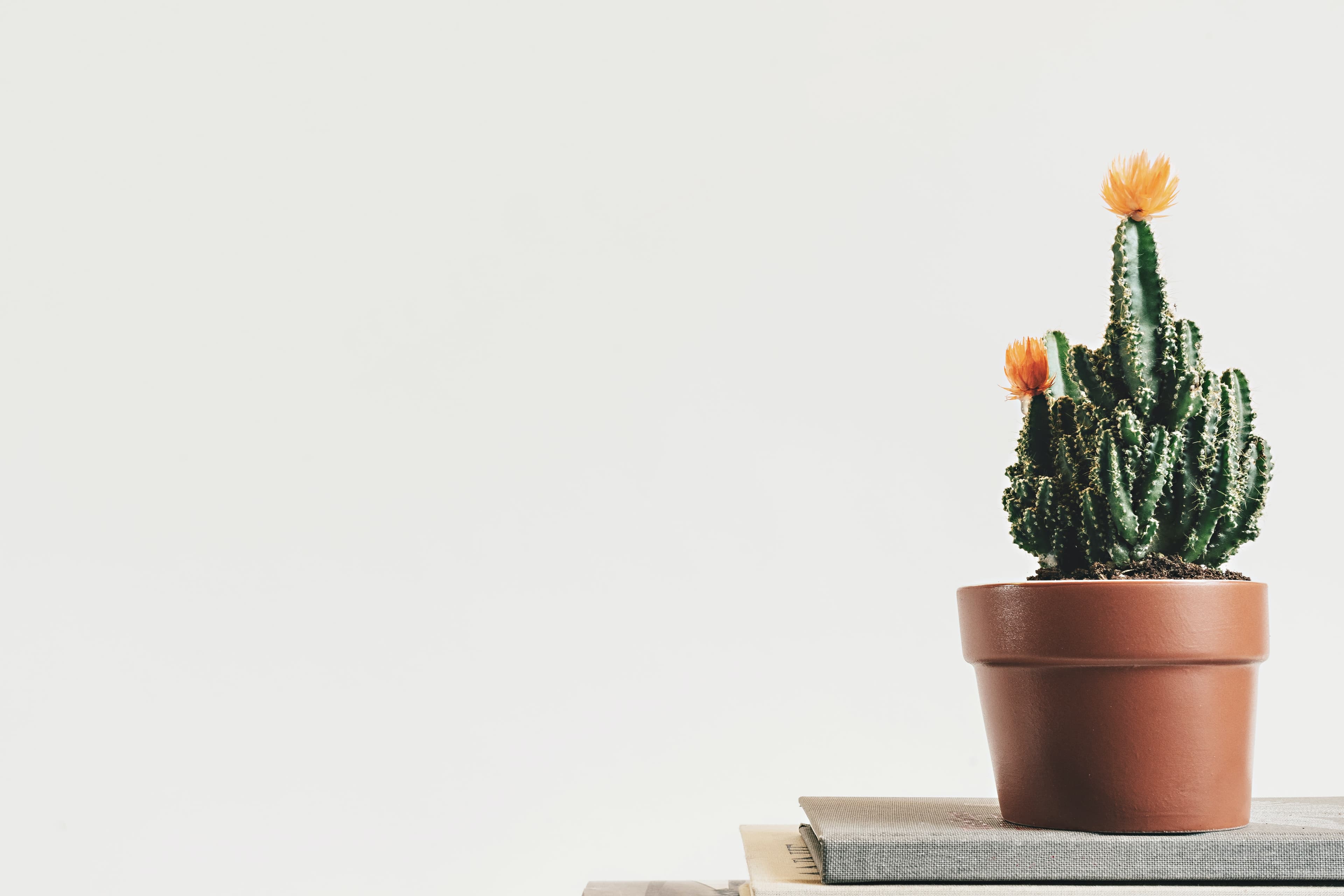 Header Image showcasing gadgets
