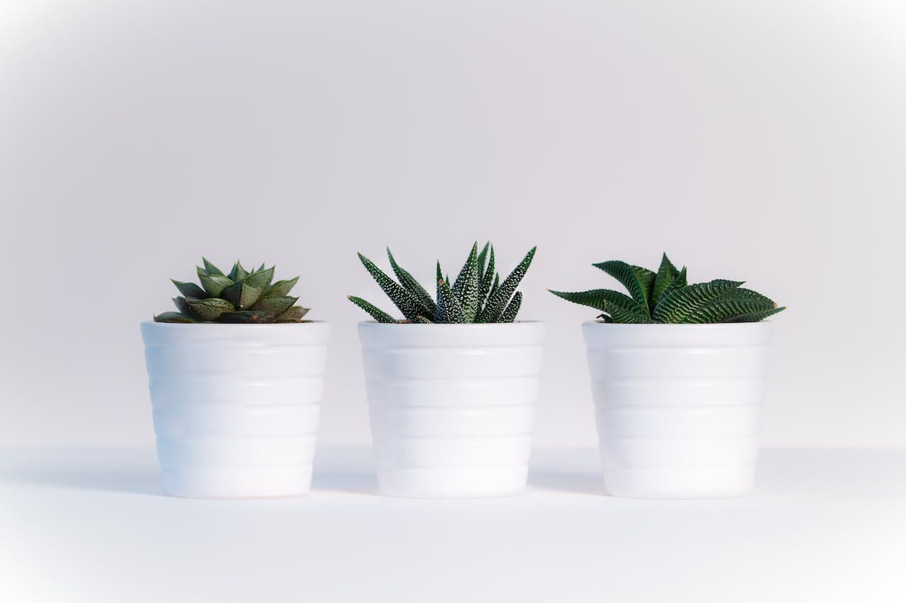 Header Image showcasing gadgets