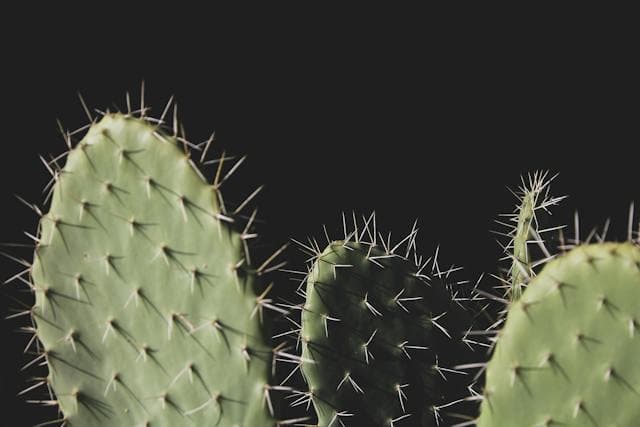 Header Image showcasing gadgets